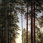 Shishkin Ivan – Edge of the Forest, 900 Classic russian paintings