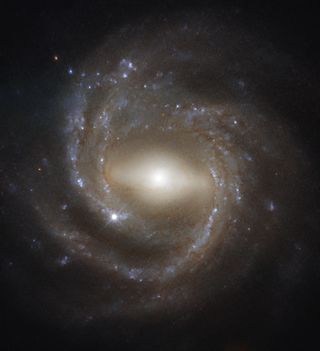 NGC 7773, imaged by the Hubble Space Telescope's Wide Field Camera 3, is a barred spiral galaxy — like the Milky Way. Older spiral galaxies are more likely to have the bar across their center that's pictured here, suggesting bars indicate a galaxy's maturity.