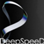 deepspeed