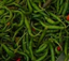 green_chili