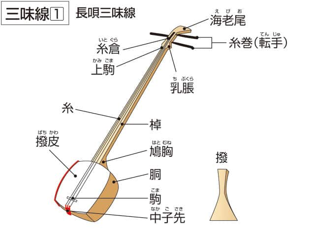 三味線の画像