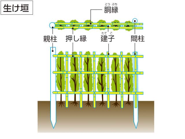 生け垣／生け籬の画像