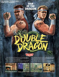 Box artwork for Double Dragon.