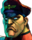 M. Bison