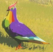 Rainbow Pigeon model from Breath of the Wild