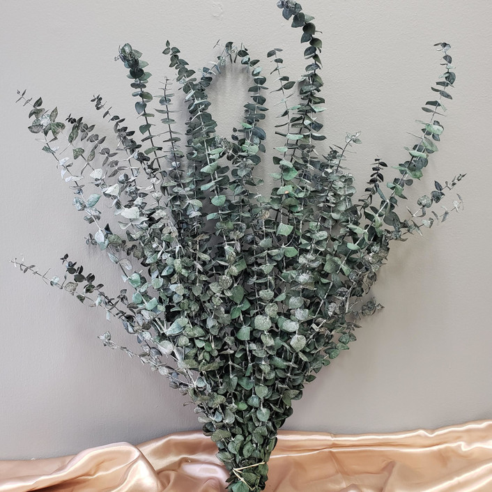 Preserved Eucalyptus, Spiral | 16oz bulk bundle (10-20stems) | Frosty Green by BLOOMINGFUL FLOWERS