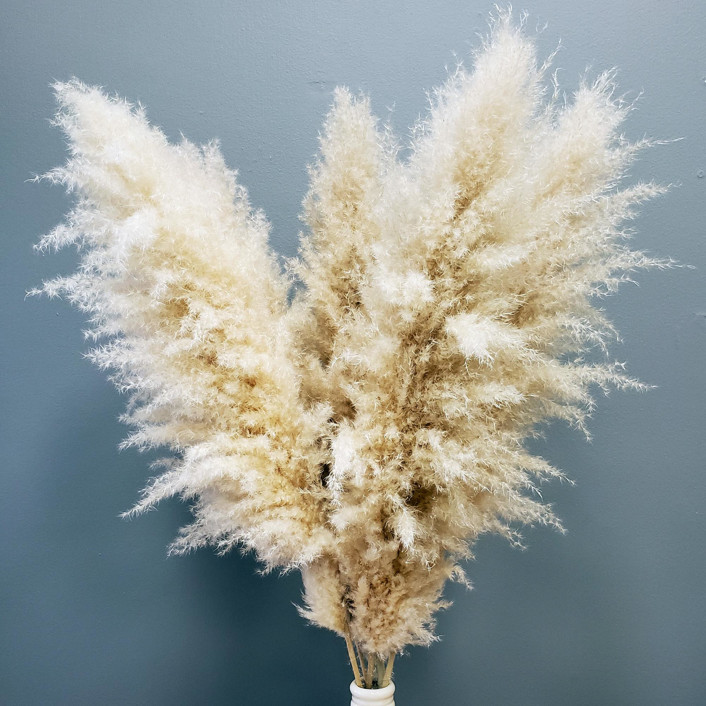 Pampas Grass, XL Extra-Fluffy | 5stems (3-4ft) | Natural Brown by BLOOMINGFUL FLOWERS