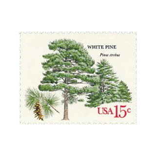 15 Cent White Pine Tree Postage Stamps // Set of 10 // UNUSED Vintage Stamps Stamps