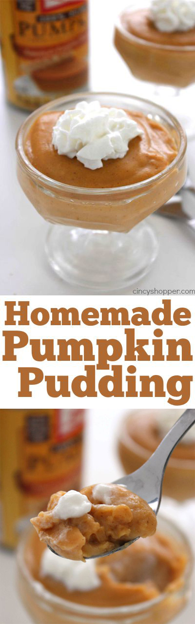 Homemade Pumpkin Pudding - Great pumpkin dessert. It's difficult to find boxed pumpkin pudding and this homemade recipe is so much better than store bought.