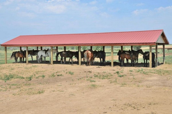 DIY Horse Run-in Shed