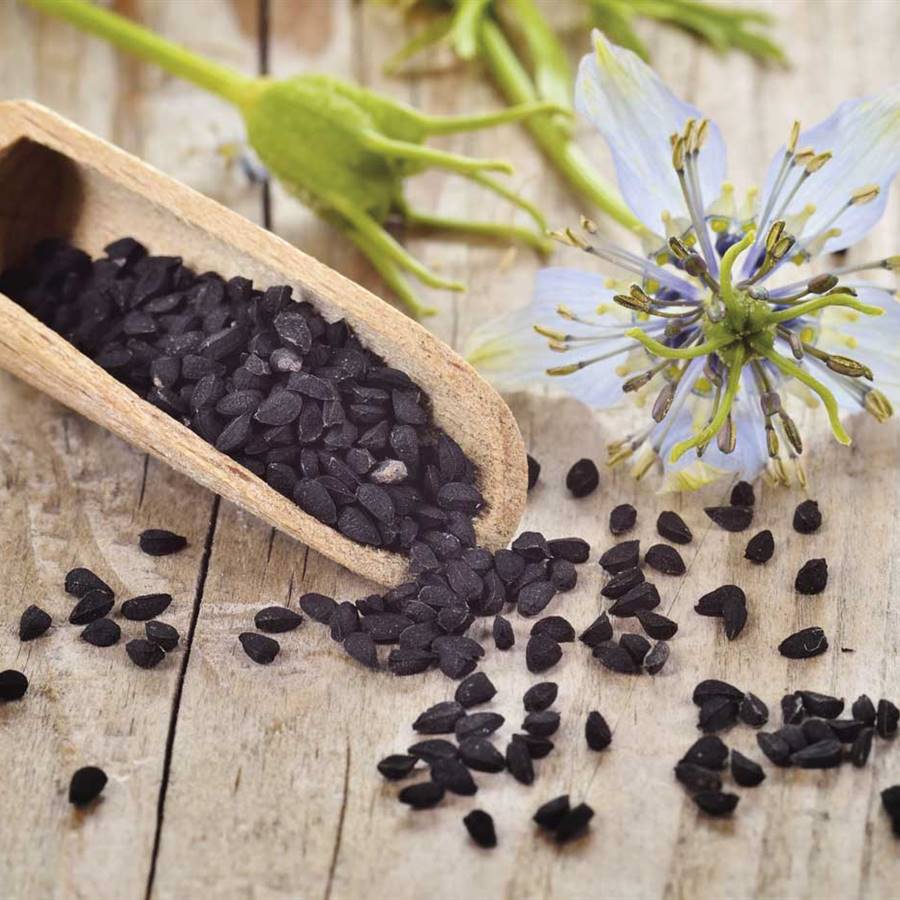 Comino negro, un poderoso condimento en tu cocina