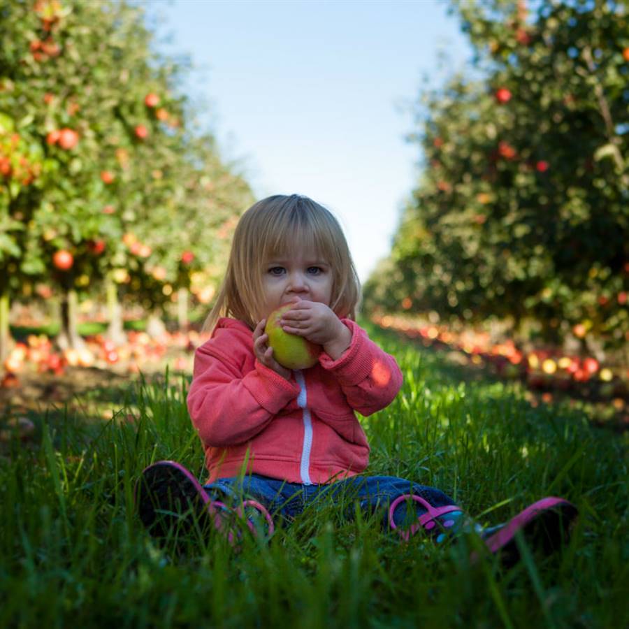 10 preguntas y respuestas sobre alimentación infantil