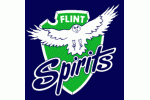 Flint Spirits Logo