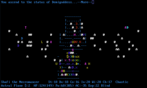 Nethack ascension in progress (not mine!).