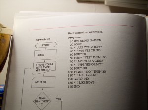 Computer program that asks if you're a boy or a girl and then says it likes that gender. Photograph copyright Steven Luscher, used under Creative Commons license.