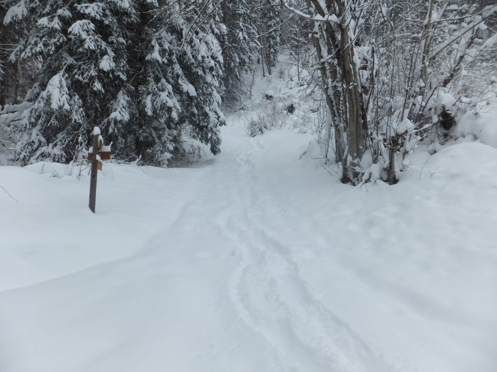 And seriously: who's at the end of their second trimester and thinks that hiking though waist-deep snow down an unmarked trail up the side of an Alp, in winter, is a good idea?