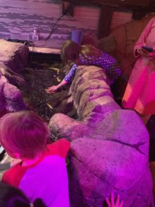 Children pet a starfish