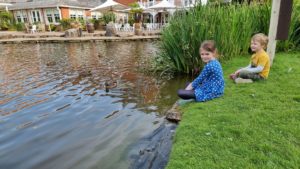 The kids by the pond between the hotels.