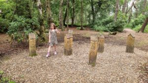 Fairy houses in a wood.