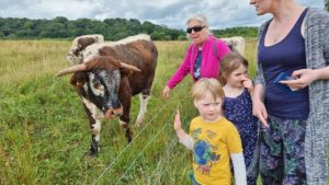 Children petting an English Longhorn cattle.