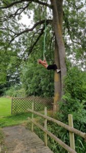 Robin reverse-abseilling up a tree.