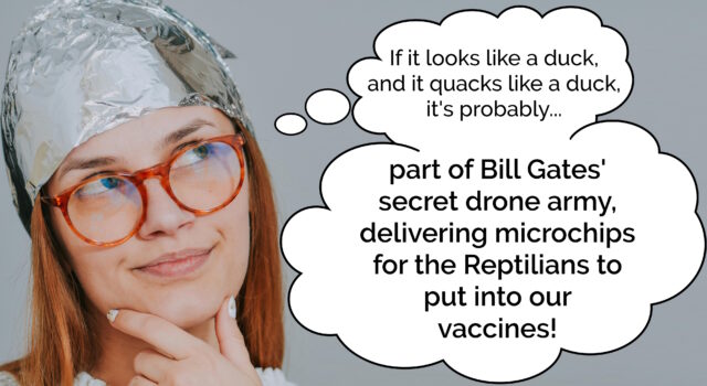 Woman wearing a tinfoil hat, thinking "if it looks like a duck and it quacks like a duck, it's probably... part of Bill Gates' secret drone army, delivering microchips for the Reptilians to put into our vaccines!"