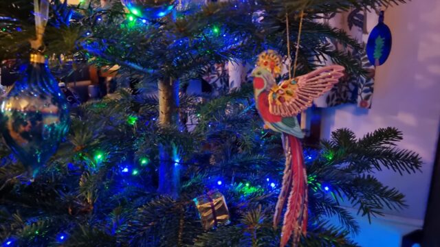 A decoration in the form of a bejewelled exotic bird hangs between a traditional bauble with a rippled texture and a hand-painted decoration showing a potted tree.