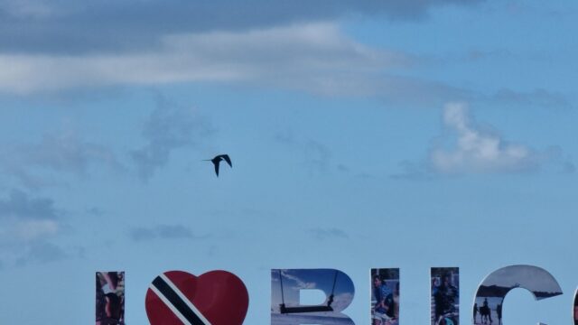 Silhouette of a bird flying through lightly-cloudy skies, over a colourful sign which begins "I heart-sign BUC" before disppearing out of frame. The heart is coloured in the red-with-a-black-and-white-diagonal-stripe of the Trinidad & Tobago flag.