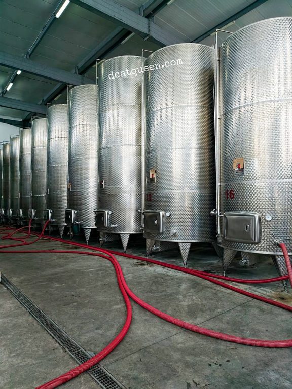 tempat produksi wine di georgia