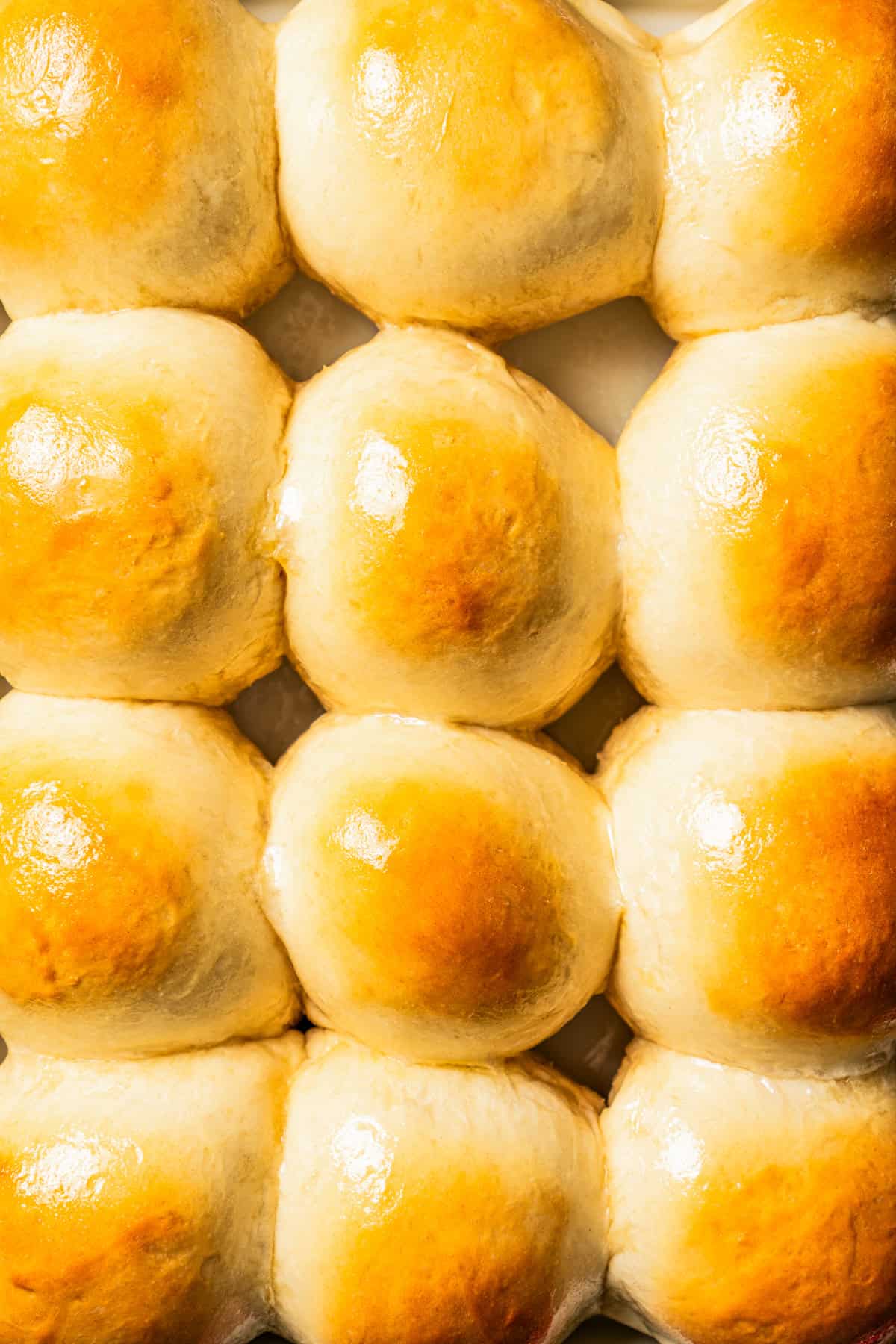 Close-up image of freshly baked dinner rolls.