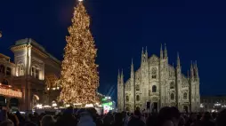 A Milano ventisette alberi di Natale: in piazza Duomo un abete di 27 metri e la Galleria sarà griffata Dior