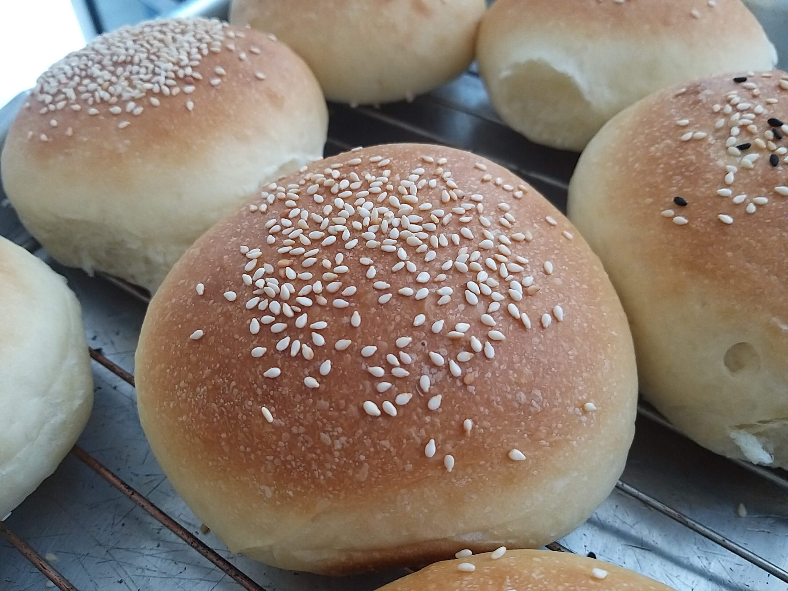 Pão de hambúrguer caseiro