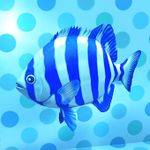 Striped Beakfish.jpg