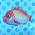 DQB2 DLC Red Snapper.jpg