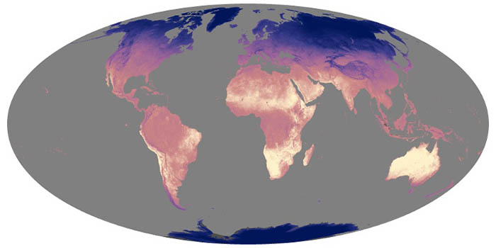 Land Surface Temperature