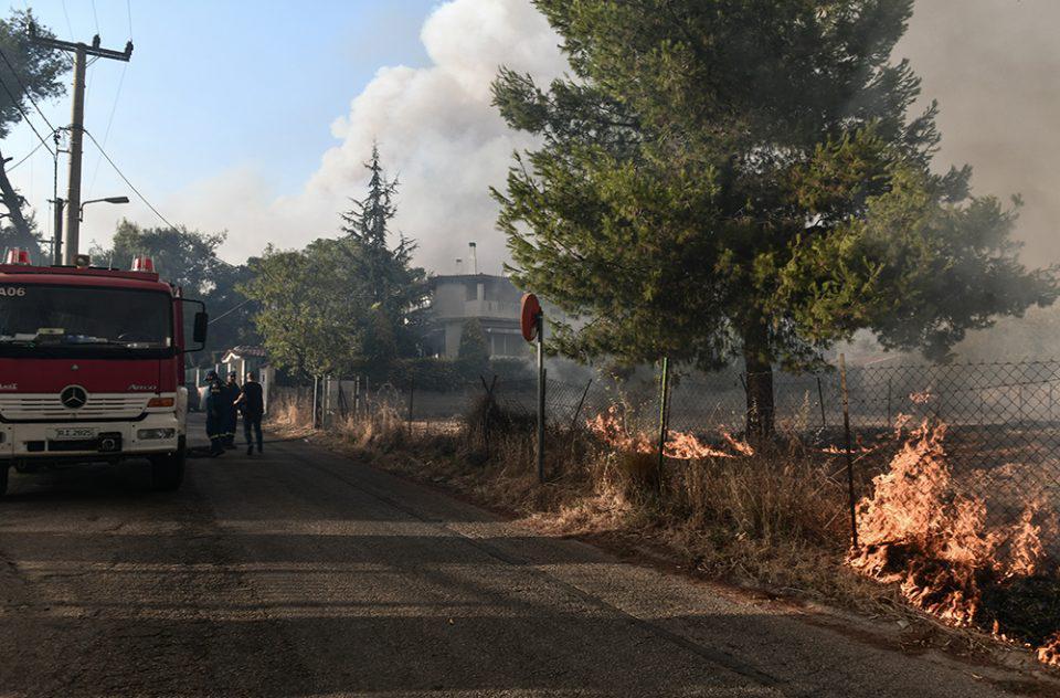 Πυρόπληκτοι: Επέκταση της πλατφόρμας arogi.gov.gr