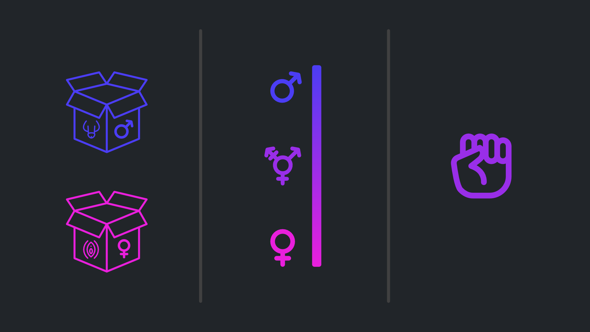 Illustration of the three models. The first part consists of two boxes, a pink one with a drawing of a vulva and a ♀ symbol, and a blue one with a drawing of a penis and a ♂ symbol. The second part consists of a vertival line going in gradient from pink (marked with ♀) through purplue (marked with ⚧) to blue (marked with ♂). The third part is a purple icon of a raised fist.