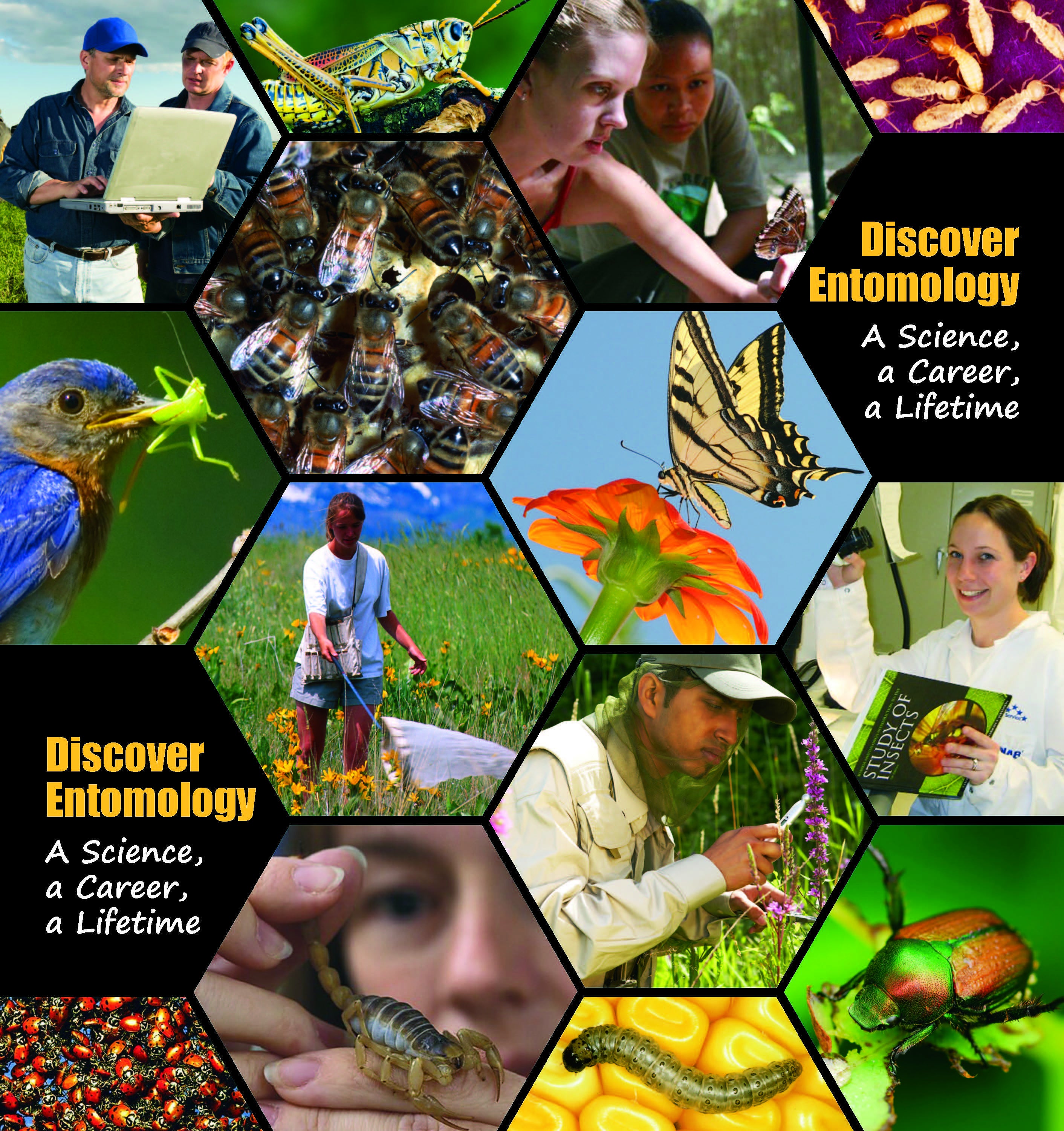 ESA Discover Entomology