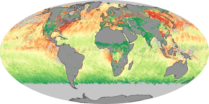 Global Map Aerosol Size Image 42