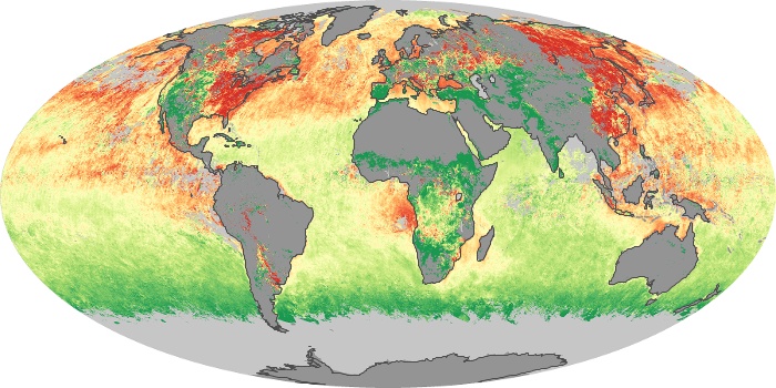 Global Map Aerosol Size Image 43