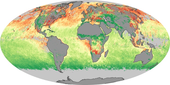 Global Map Aerosol Size Image 55