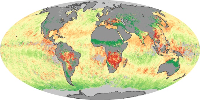 Global Map Aerosol Size Image 58