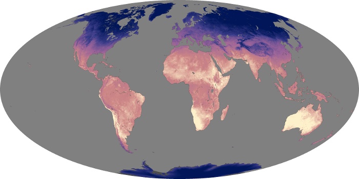 Global Map Land Surface Temperature Image 11