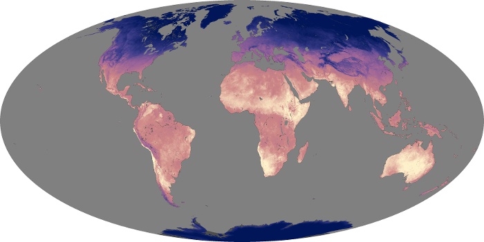 Global Map Land Surface Temperature Image 13