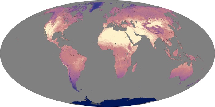 Global Map Land Surface Temperature Image 29