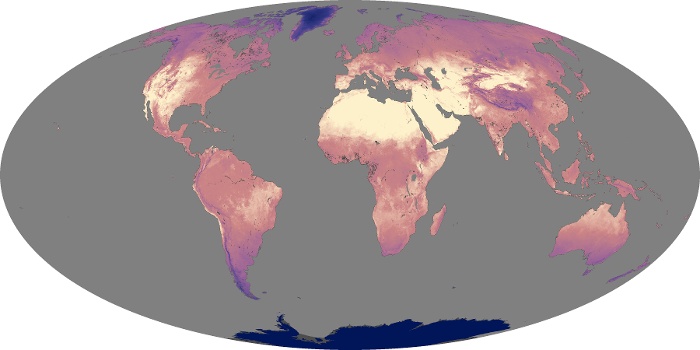 Global Map Land Surface Temperature Image 43