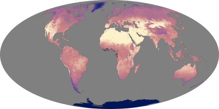 Global Map Land Surface Temperature Image 115