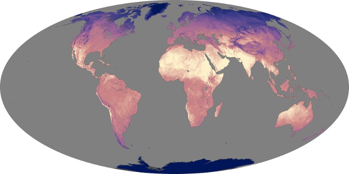 Global Map Land Surface Temperature Image 123