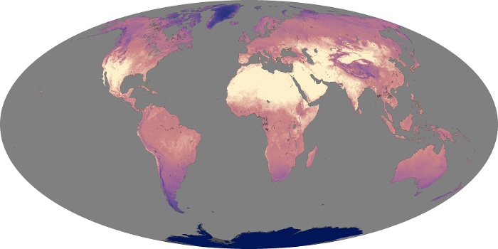 Global Map Land Surface Temperature Image 137