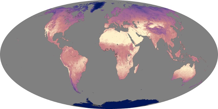 Global Map Land Surface Temperature Image 164